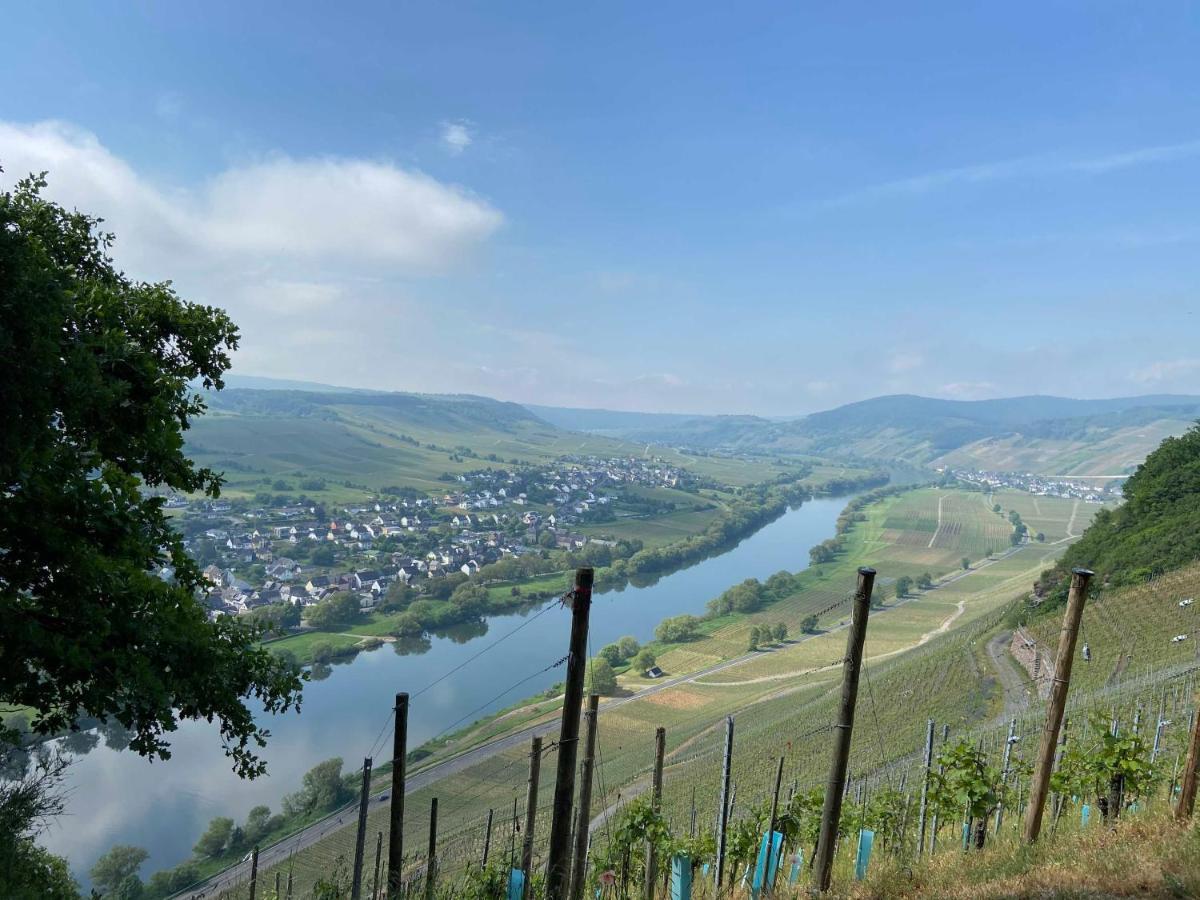 Neu!!! Moselbleibe Winzerhaus Kues Lägenhet Bernkastel-Kues Exteriör bild