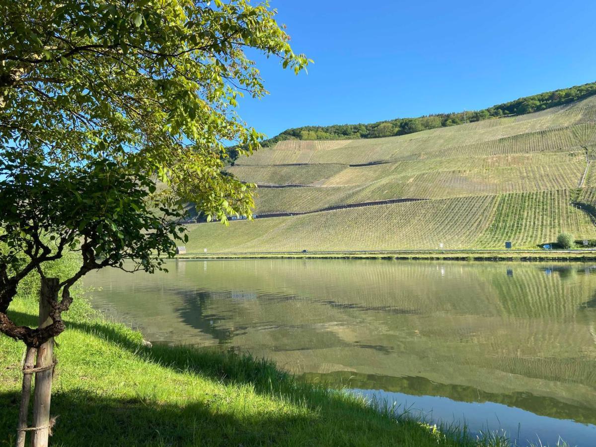 Neu!!! Moselbleibe Winzerhaus Kues Lägenhet Bernkastel-Kues Exteriör bild